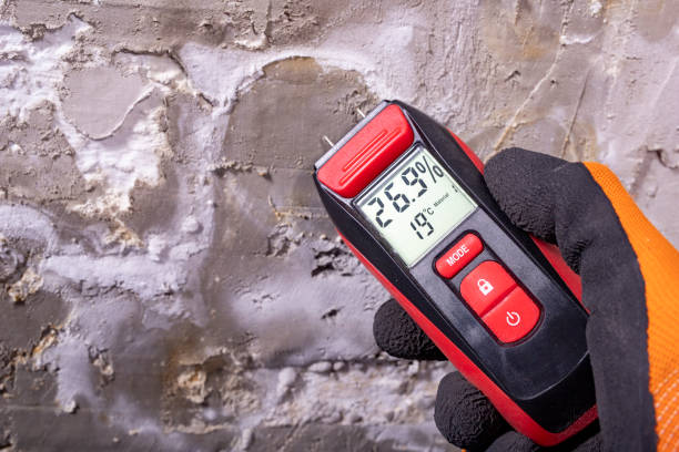 Best Mold Removal Company Near Me  in Glen Carbon, IL