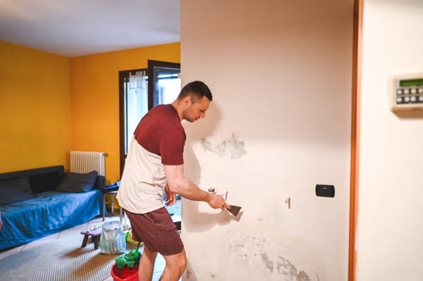 Best Crawl Space Mold Removal  in Glen Carbon, IL